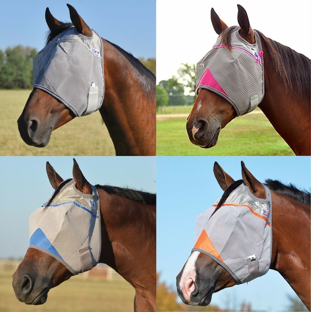 Four horses wearing grey Cashel fly masks in pink and blue trim out in the pasture